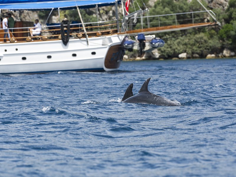 Club Adakoy Holiday Village 188269