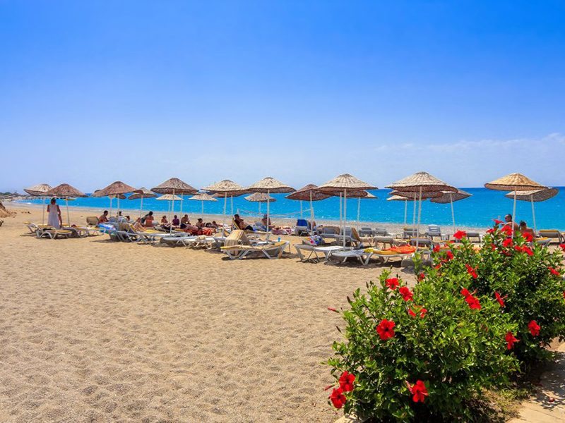 Club Aqua Plaza 184637