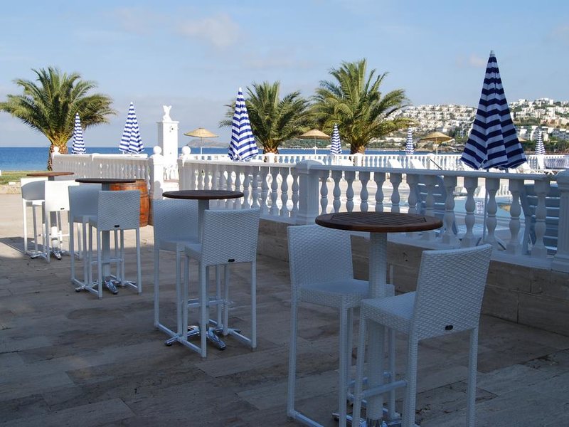 Club Blue White 183039