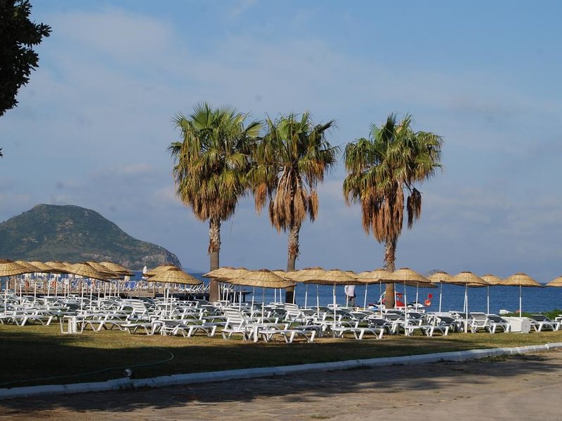 Club Blue White 183042