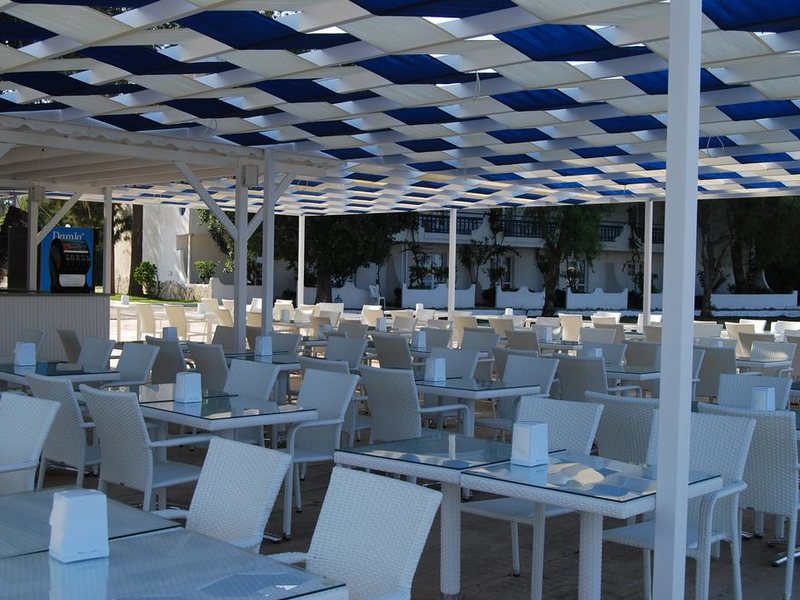 Club Blue White 183043