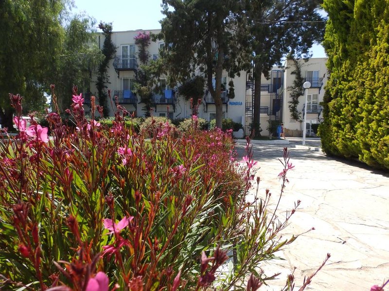 Club Blue White 183045