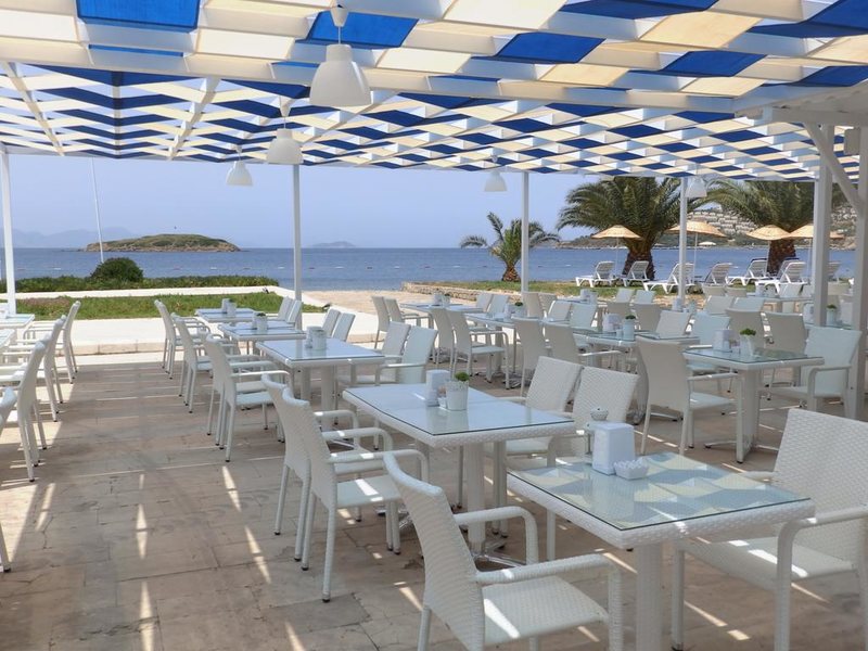 Club Blue White 183047