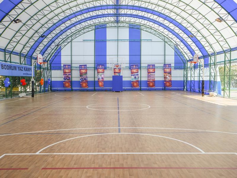 Club Blue White 183058