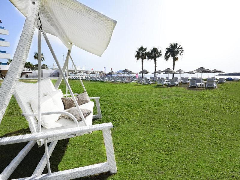 Club Blue White 183059