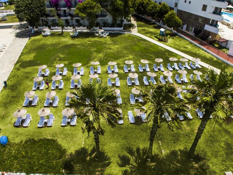 Club Blue White 183060