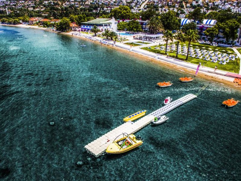 Club Blue White 183061