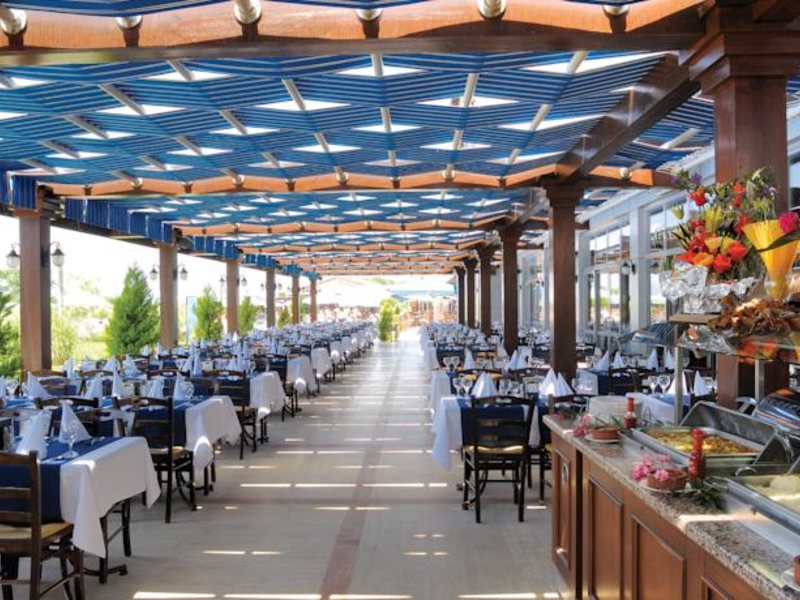 Club Cactus Paradise 60152