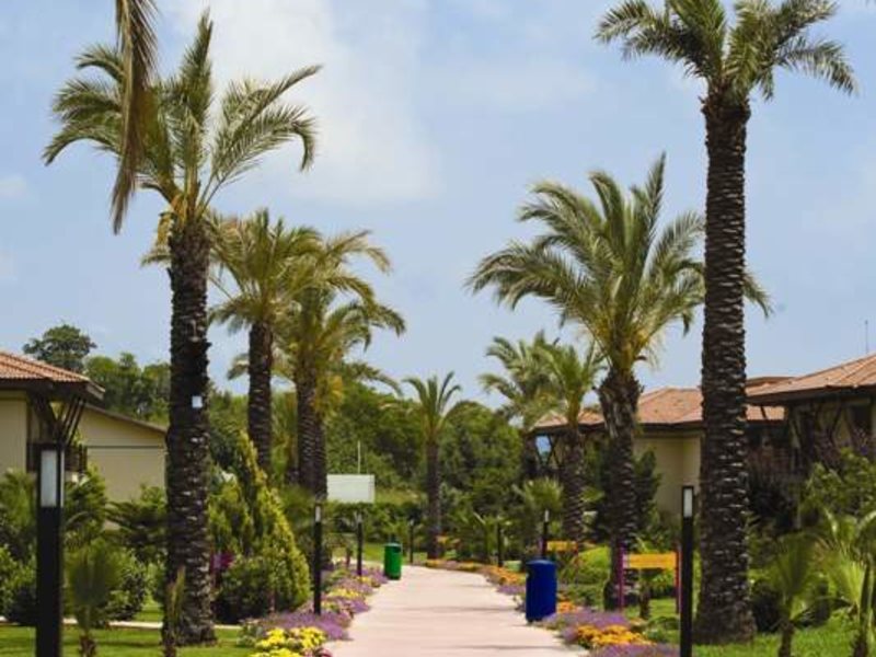 Club Felicia Village 63841