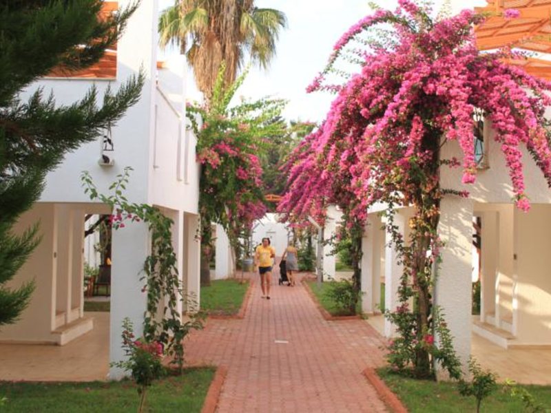 Club Kastalia Hotel 61757