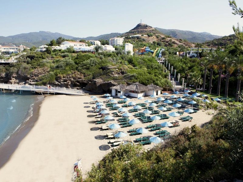 Club Marvy (ех 28556