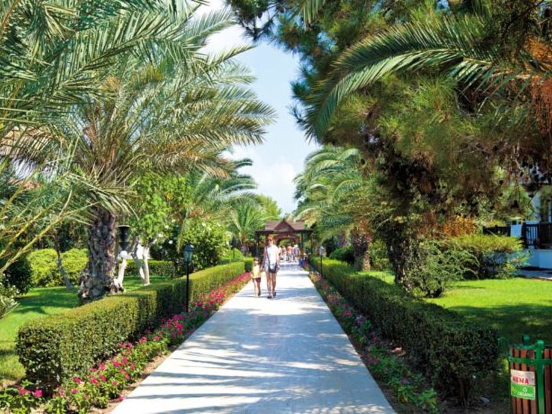 Club Nena HV-1/5 61316