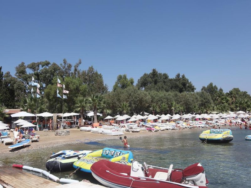 Club Okaliptus 294814