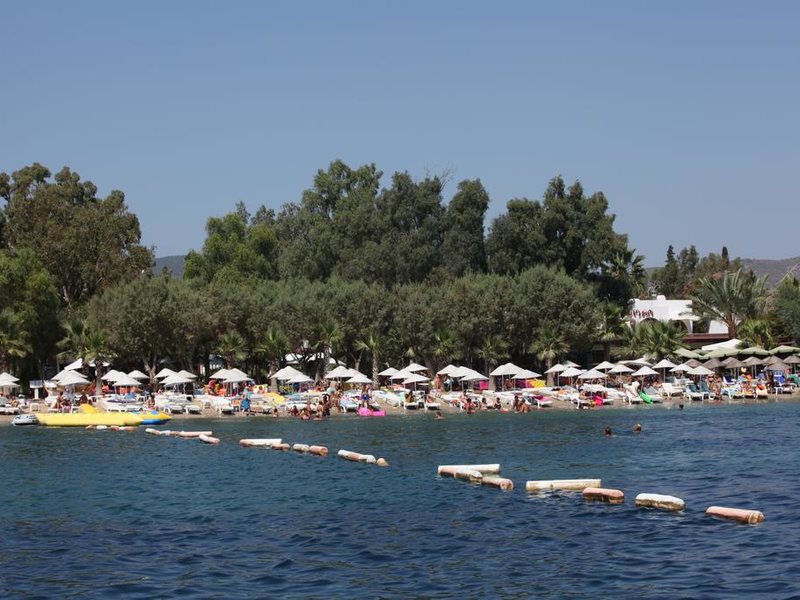 Club Okaliptus 294819