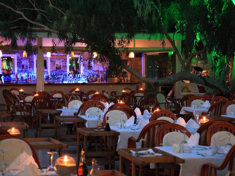 Club Okaliptus 294820