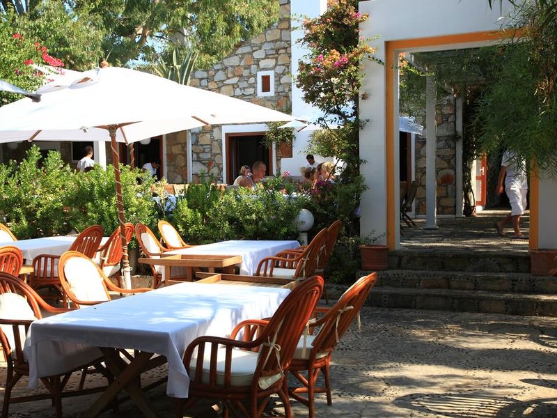 Club Okaliptus 294821