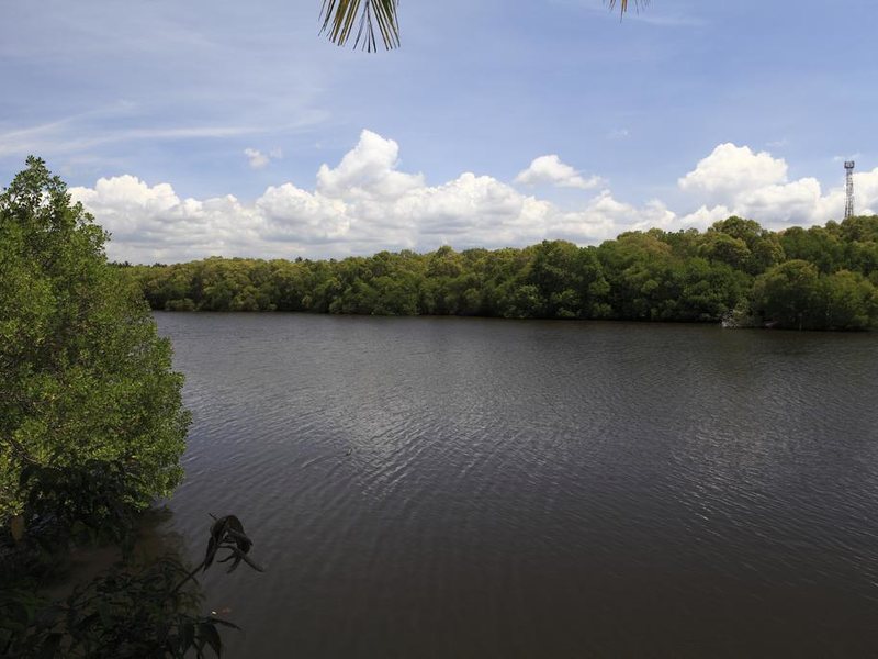 Club Palm Bay  109774