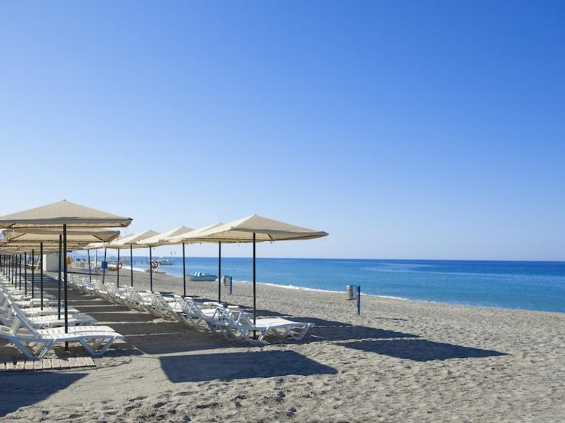 Club Paradiso 177738