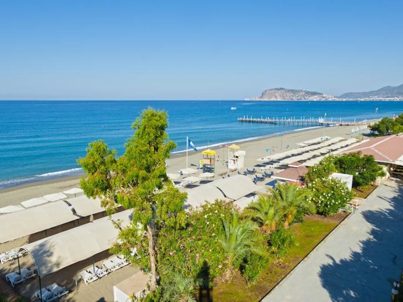 Club Paradiso 177739