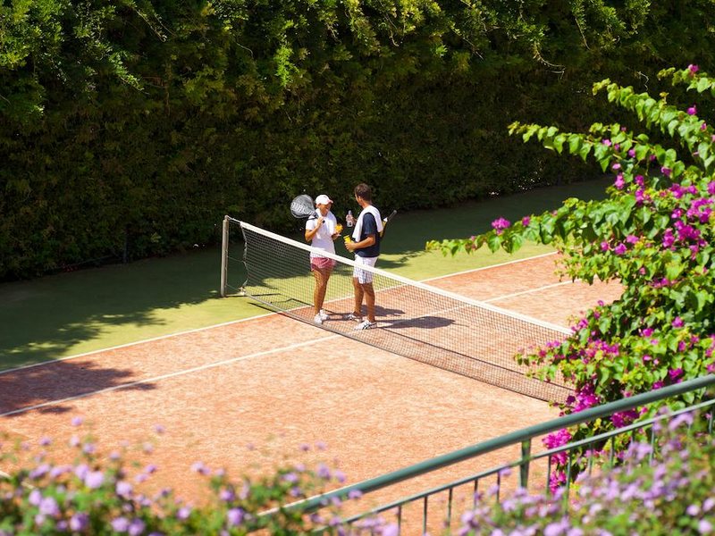 Club Paradiso 177742