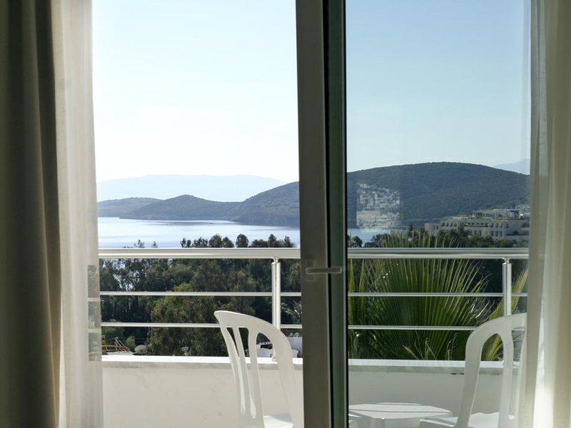 Club Shark Hotel 183170