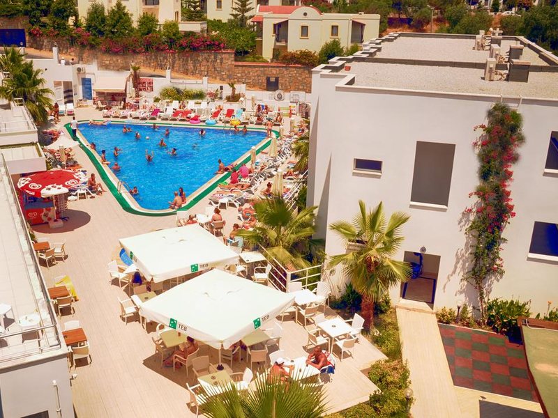 Club Shark Hotel 183186