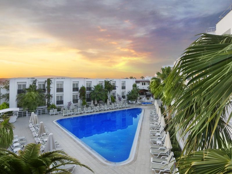 Club Shark Hotel 183188