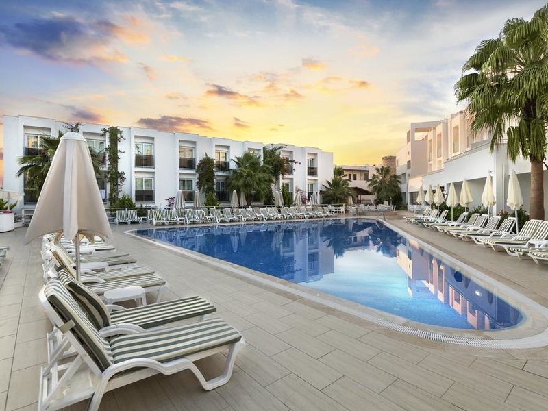 Club Shark Hotel 183189