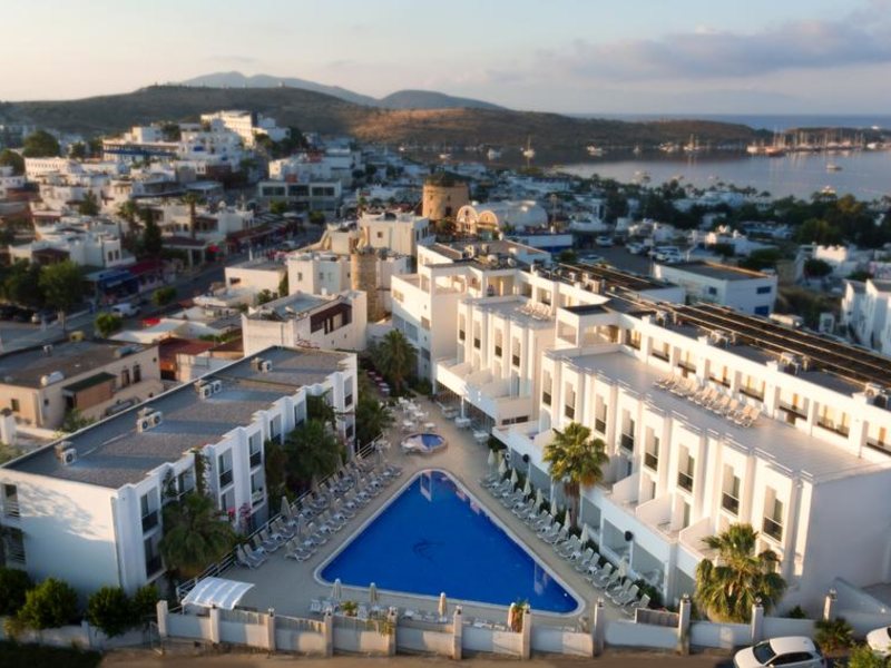 Club Shark Hotel 183192