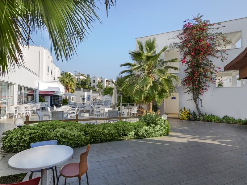 Club Shark Hotel 183197