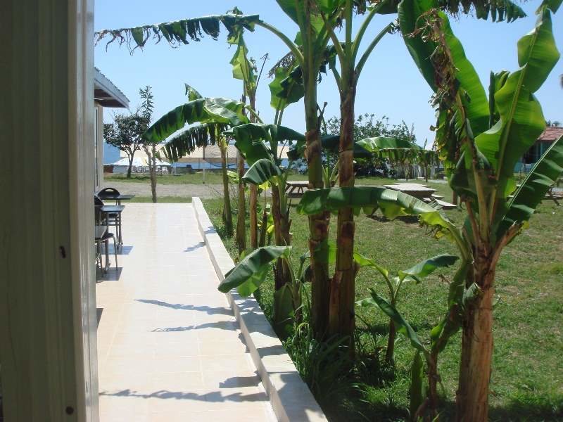 Club Star Beach   (ех 63826