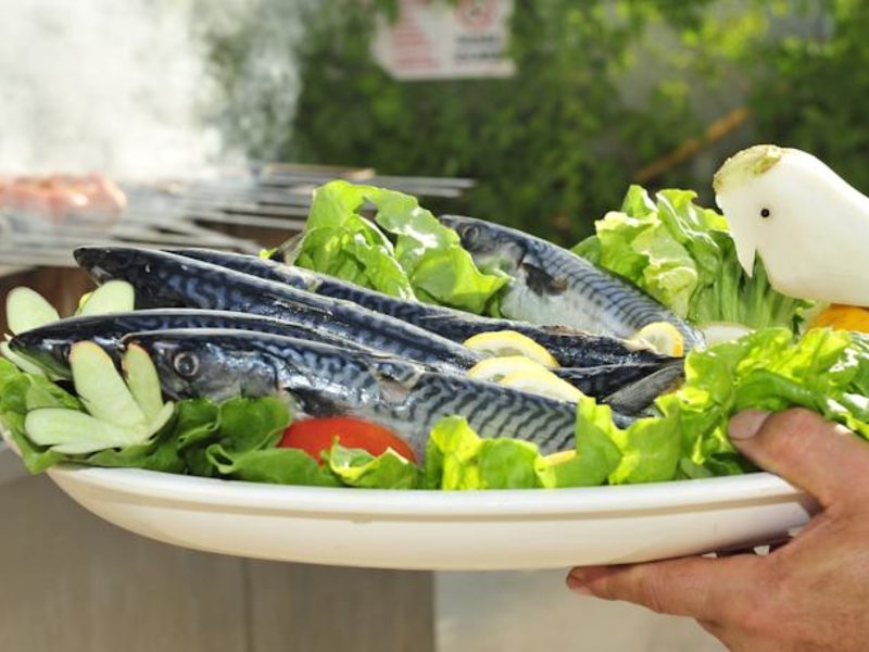 Club Sun Heaven Hotel 67895