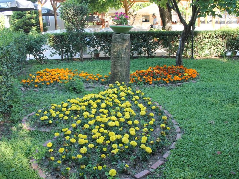 Club Turkuaz Garden Hotel Adult Only 304051