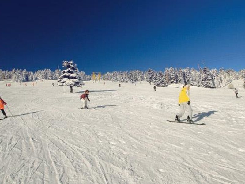 Club Voyage Alkoclar Hotel 67926