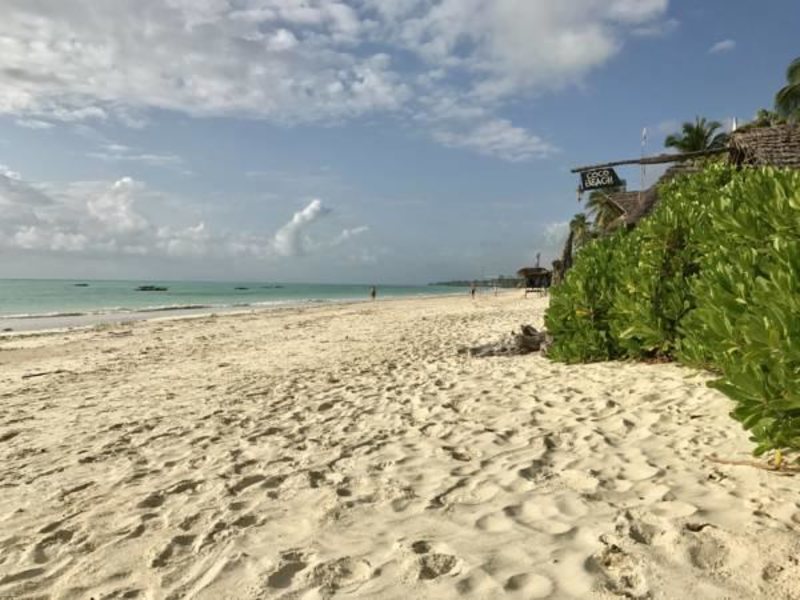 CoCo Beach Hotel 201422