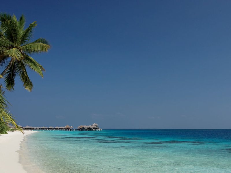 Coco Palm Bodu Hithi 134209