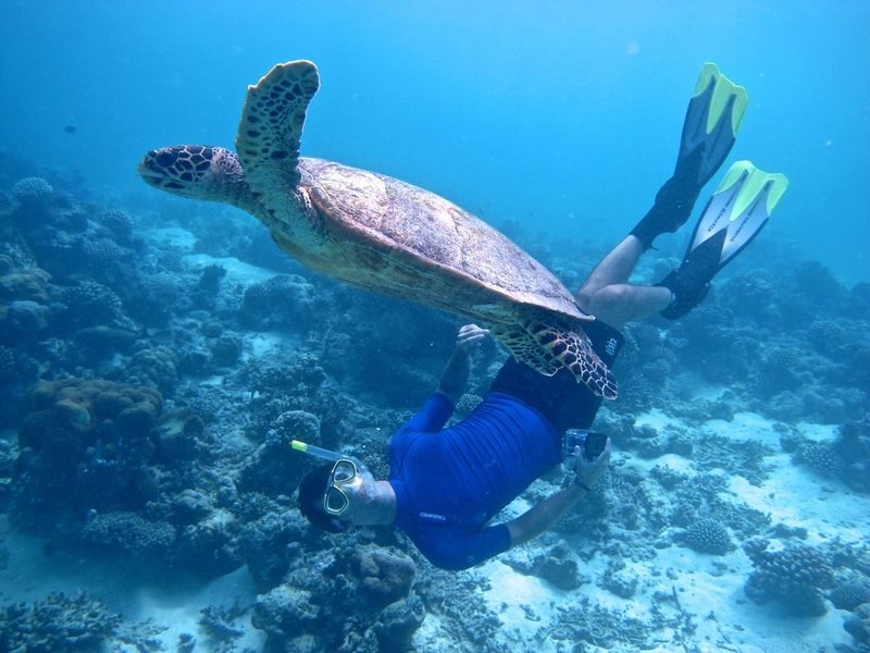 Coco Palm Bodu Hithi 134227