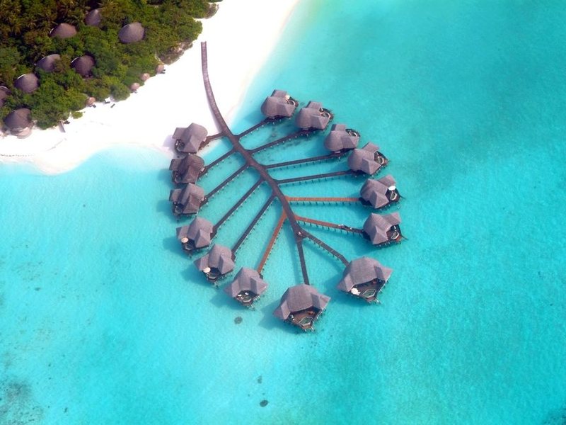 Coco Palm Dhuni Kolhu 134270