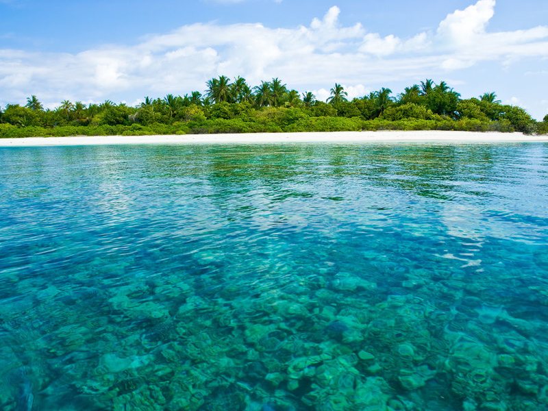 Coco Palm Dhuni Kolhu 134274