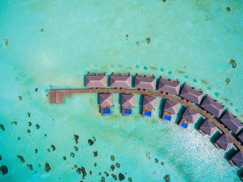 Cocoon Maldives 228047