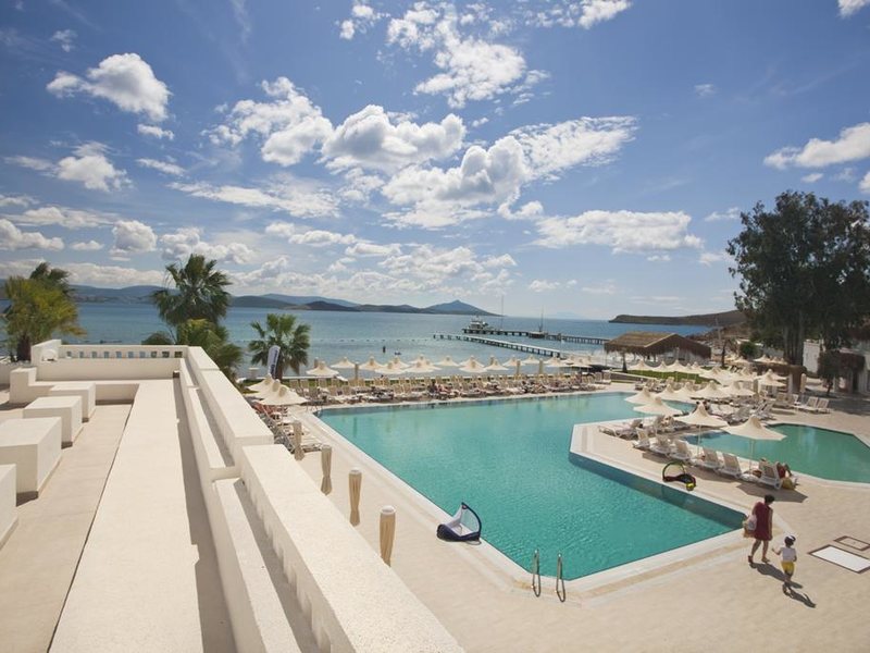 Cocos Beach Club 190045