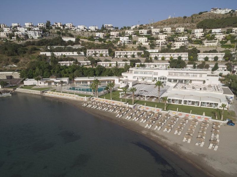 Cocos Beach Club 190049