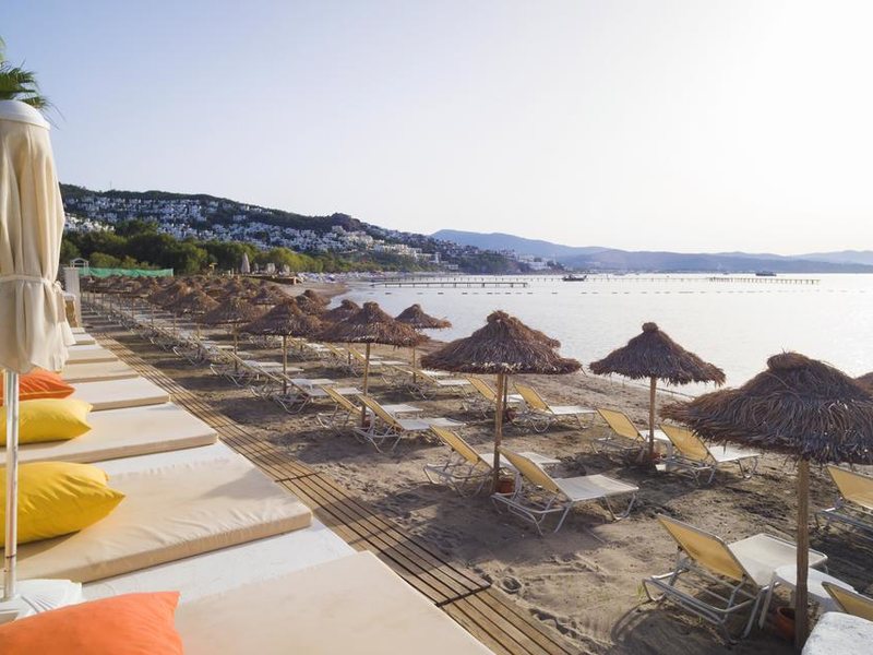 Cocos Beach Club 190057