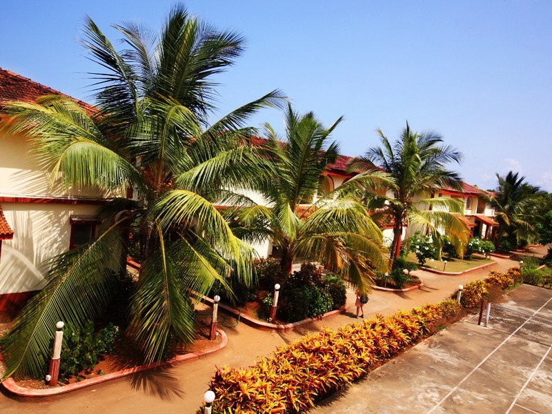 Colonia Jose Menino 137500