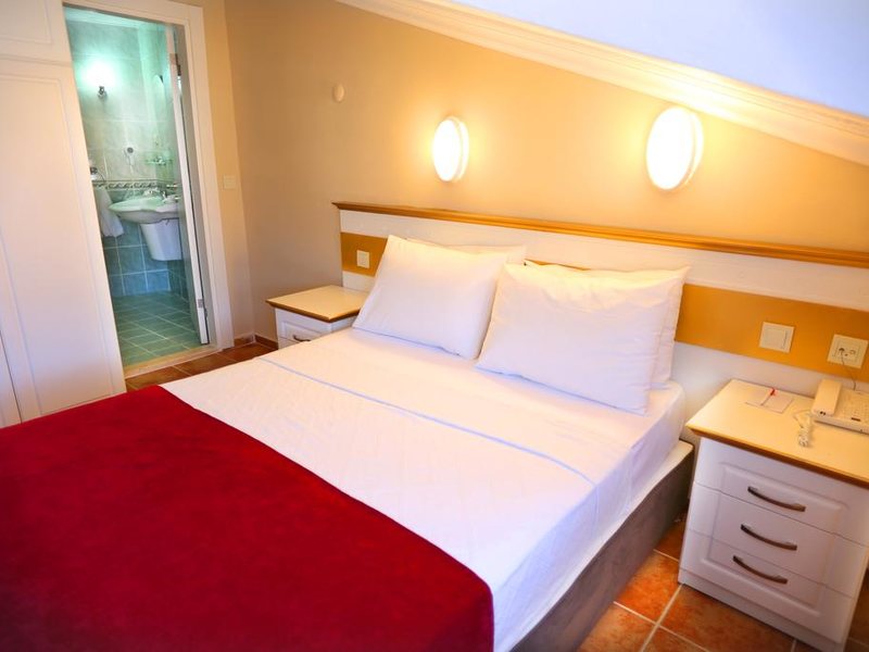 Comet Deluxe Hotel 194982