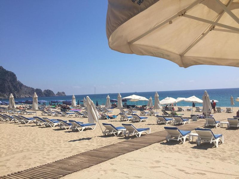 Comfort Suites Hotel 303138