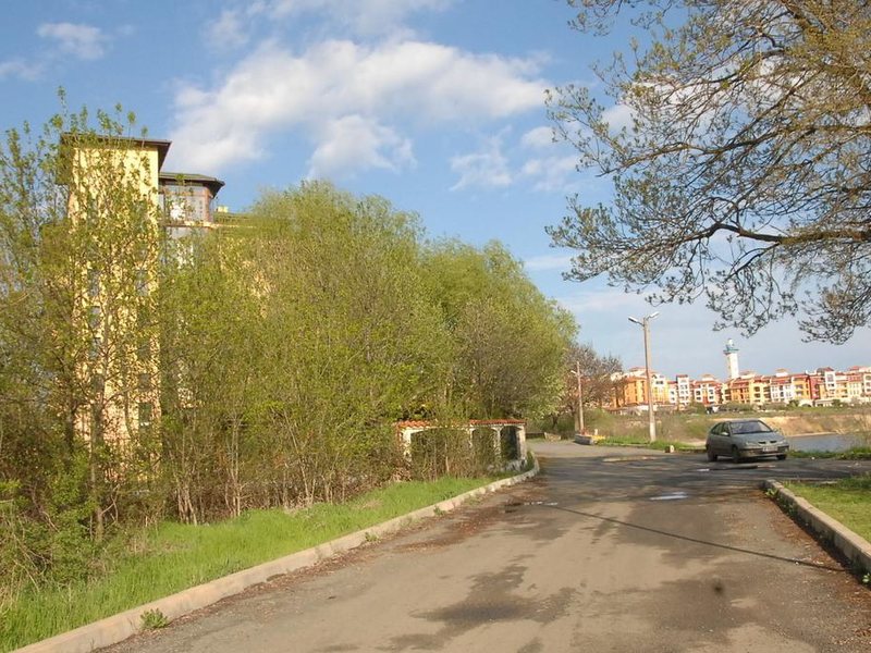 Complex Lipite 162447