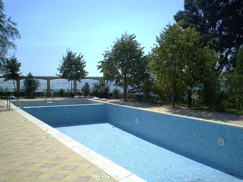 Complex Lipite 162451