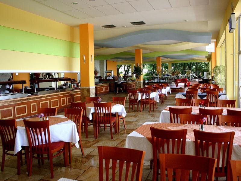 Complex Orhideya 164643