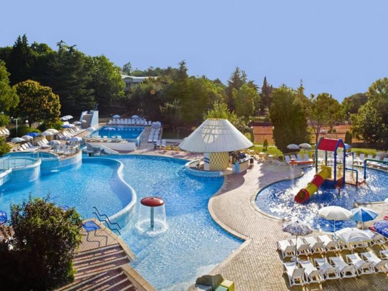 Complex Orhideya 164646